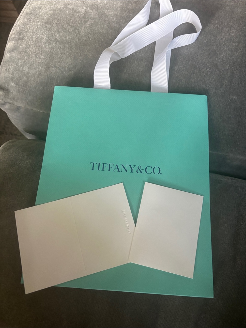 Tiffany & Co. Robin's-Egg Blue Shopping Bag with White Ribbon Handles